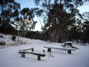 Waking up to fresh snow is always exiting for me