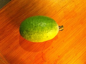 First harvest from my Feijoa bush, grown from seed 8 years ago 